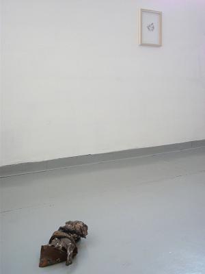 Untitled (installation view)
